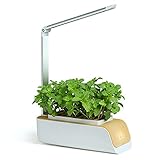 Indoor Garden Set mit Smartgrow Funktion/ Kräutergarten mit integriertem Click LED Licht für optimales Wachstum als Smart Plant Kit/ Eine Smart Garden Hydrokultur für Ihr Indoor System/ Smart Grow