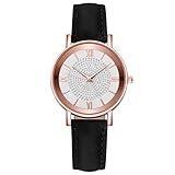 Uhren für Frauen Weibliche Luxusuhren Quarzuhr Edelstahl Zifferblatt Casual Armbanduhr Uhren para Muj