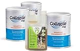 Collagile Kopie Dog 6X 225g + Dog Flex 500ml / bei akuten Gelenkbeschw