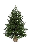 eveXmas 60cm Künstlicher Weihnachtsbaum, Tannenbaum Altair Traditioneller Grün, 59 Zweige 100% PE-Spitzen, inkl. dekorativem Ständer im Sack