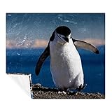 Penguin In Antarctica weiche, gemütliche Überwurfdecke für Erwachsene und Kinder, leichte Mikrofaser-Fleecedecke für Couch, Bett, Sofa, Reisen, 150 x 130