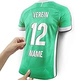 Elbeffekt Trikotlampe für Bremen Fans aus Holz - personalisierbares Geschenk - schenke Dein individuellen Bremen Fanartikel aus E