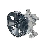 Servopumpe Hydraulikpumpe für C240 ML320 ML430 W202 S202 W163 1997-2005 0024663801