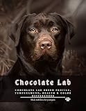 Chocolate Lab: Chocolate Lab Breed Profile, Temperament, Health & Color Differences (English Edition)