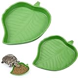 2 Stück Blatt Reptilienschale Lebensmittel Wasser Bowl Platte Schale für Schildkröte Corn Schlange Kriechen Haustier Trinken und Essen, 2 Größ