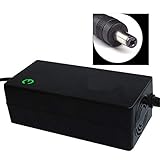 XIONGGG Elektro-Scooter-Ladegerät Universal Power Adapter Für 24V, 36V, 48V, 60V, 72V-Lithium-Batterie-Roller Mini-Stecker,5,48V 4