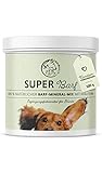 Annimally Barf Zusatz Pulver für Hunde 500g I Barf Vitamine & Mineralien Mix für die optimale Versorgung mit Nährstoffen - Hund Mineral Futterzusatz mit Gemüse, Obst und V