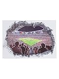 DS Direct FC Bayern München Allianz Arena Wandtattoo Glow in The Dark 3D