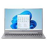 MEDION S17405 43,9 cm (17,3 Zoll) Full HD Notebook (Intel Core i5-1135G7, 8GB DDR4 RAM, 1TB PCIe SSD, Intel Iris Xe Grafik, HD Webcam, Win 11 Home)