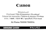 Original Canon Druckkopf für Pixma TS9550 TS9551