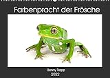 Farbenpracht der Frösche (Wandkalender 2022 DIN A2 quer) [Calendar] Trapp, Benny