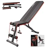 arteesol Hantelbank - Klappbare Hantelbank Fitnessbank Trainingsbank mit Gewichten, Multifunktion Hantelbank Set für Ganzkörpertraining (Black)