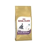 Royal Canin Cat Royal Canin Feline Kitten British Shorthair 400g