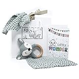 Geschenkset Baby zur Geburt - Set mit Karte Tasche Beißring Rassel Spucktuch Waschlappen 100% Baumwolle | Hochwertige Jollein Produkte enthalten | Glückwunschkarte & Geschenktasche (Grün Beißring)