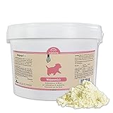 Schecker Welpenmilch/Muttermilchersatz für den Hund - 1kg - in verschiedenen Mengenangaben erhältlich auch für kranke und ältere Hunde geeignet - Aufbaunahrung