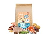 Sollis Hundefutter trocken | Ohne Getreide | Ohne Zucker | Hoher Fleischanteil | Trockenfutter für Hunde (Fisch, 2 kg (1er Pack))