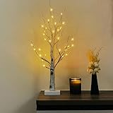 LED Lichterbaum innen, 32 LEDs Weihnachten Lichterzweige Baum mit Timer, Batteriebetrieben Leuchtbaum für Weihnachten, Ostern, Hochzeit, Festliche deko, 65cm Höhe Birken, Warmweiß, 2 Stück