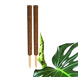 2x Kokos Pflanzstab 60 cm Rankstab Rankhilfe Blumenstab Kokosstab zur Dekoration aus natürlicher Kokosfaser verlängerb