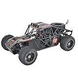 Macium Ferngesteuertes Auto mit 30cc Benzinmotor, FS Racing 11903 1: 5 80km/h RC Car 2.4G 4WD Wüsten Offroad Fahrzeug, Spielzeug Outdoor und Indoor für Jungen und M