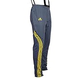 adidas Damen Athleten Hose DSV Aufwärmhose Biathlon Langlauf (grau-gelb, 32)