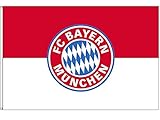 FC Bayern Fahne Hissflagge Originalware 60 x 90 cm Motiv Logo mit 2 Ö