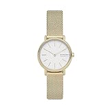 Skagen Damen Analog Quarz Uhr mit Edelstahl Armband SKW2693