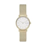 Skagen Damen Analog Quarz Uhr mit Edelstahl Armband SKW2693