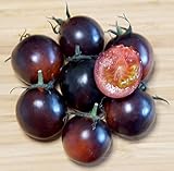Purpur-Dunkelrote Cherry-Tomate - Zweifarbige Tomate - sehr süß - 10 S