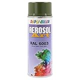 DUPLI-COLOR 787843 AEROSOL ART RAL 6003 olivgrün glänzend 400 ml, transparent, (1er Pack)