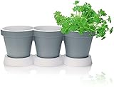 com-four® 3er Kräutertopf mit Untersetzer - Pflanzentopf für Blumen und Kräuter - Deko Blumentopf für Garten, Balkon und Wohnung (Kräutertopf - grau)