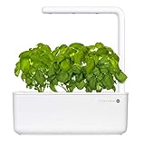 Emsa M5261700 Click & Grow Smart Garden 3 Indoor-Garten, passend für 3 Kräuterkapseln, weiß