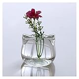 SweeT DumplinG vase vasen Container Topf Decor Kunst Geschenk Katze Form Glas Vase Hydrokörper Pflanze Blume Vase Terrarium (Color : Clear)