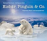 Eisbär, Pinguin & Co.: Polartiere filzen und k