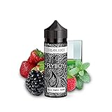 Urban Juice Flyboy 10 ml Aromakonzentrat in einer 120ml Flasche Beeren Menthol und Absinth BiB Nik