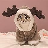 LANGTAOMY Winter Hundemantel Winterkatze Kleidung Warme Fleece Haustier Kostüm for kleine Katzen Kätzchen Jumpsuits Kleidung Katze Manteljacke Haustiere Hund Kleidung Katze Jacke w