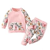 CAIJ Kleinkind Baby Mädchen Herbst Winter Sweatsuit Sets Langarm Rüschen Reißverschluss Top Lange Hosen 2 Stück Floral Kleidung Outfits (Rosa2, 80cm)