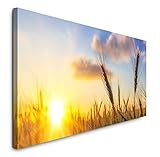 Paul Sinus Art GmbH Sonne scheint 120x 50cm Panorama Leinwand Bild XXL Format Wandbilder Wohnzimmer Wohnung Deko Kunstdruck