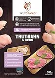 Wildfang® Katzenfutter | getreidefreies Trockenfutter für Katzen | Truthahn & Huhn für Kitten (100 Gramm)