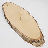 Birke Rothirsch AF 50 cm Hirsch Schild Trophäenschild Geweih Baumscheibe Baumschild Natur H