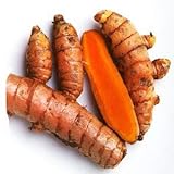 HoitoDeals Fresh & Raw Indische Kurkuma Curcuma Roots Whole H