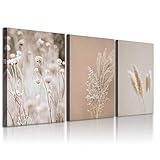 Rongrongyue Pampasgras Wandkunst Drucke Galerie Leinwand Bild Bauernhaus Dekor Bereit zum Aufhängen Botanical Wand Poster Gras 60x80cmx3 Kein R