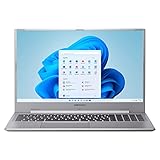 MEDION P17609 43,9 cm (17,3 Zoll) Full HD Notebook (Intel Core i7-1165G7 Prozessor, 16GB DDR4 RAM, 1 TB M.2 PCIe SSD, NVIDIA GeForce MX450, HD Webcam, Win 11 Home)