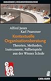 Kontextuelle Organisationsberatung: Theorien, Methoden, Instrumente, Fallbeispiele aus der Wiener Schule (Management)