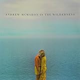 Andrew Mcmahon in the Wilderne [Vinyl LP]