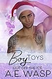 Boy Toys: Hot of the Ice Book #4 (Hot Off the Ice) (English Edition)