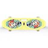 CLEEBAOXP Penny Board Skateboard Mädchen 25'x 9'mit 80 PU Skateboard Rollen und Alle Metalllager,Cruiser Skateboard,für Anfänger, Jugendliche, Kinder, straße,LED-Blitzräder-Thunderbolt_Jung
