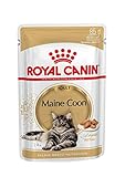 Royal Canin Nassfutter, Rasse: Maine Coon, ausgewachsene Katzen, 12 x 85 g B