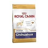 Royal Canin | Chihuahua Junior | 1,5 kg