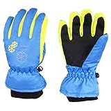 TRIWONDER Thermal Fleece Skihandschuhe Snowboard Handschuhe wasserdichte warme Winterhandschuhe für Kinder (blau, XS (3-5 Jahre))