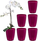 SANTINO 6er-Set Selbstbewässernder Topf mit Dochtsystem und Wasserstandsanzeige für den Innenbereich, Orchideentopf D 12cm (Purple, 1,3L)